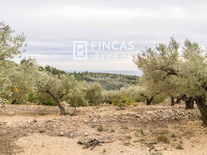 Foto d0719406-4974-4fa8-8eb7-8b07eaccc984. Masia a Bítem Tortosa