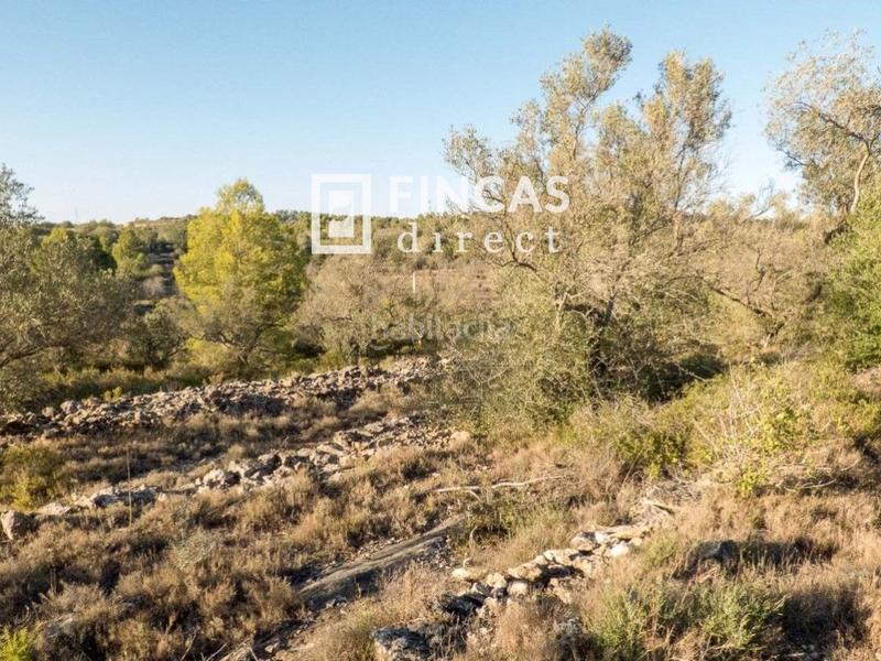 Foto 51a49020-f990-4e84-afc0-4866675793a2. Finca rústica a Perelló (El)