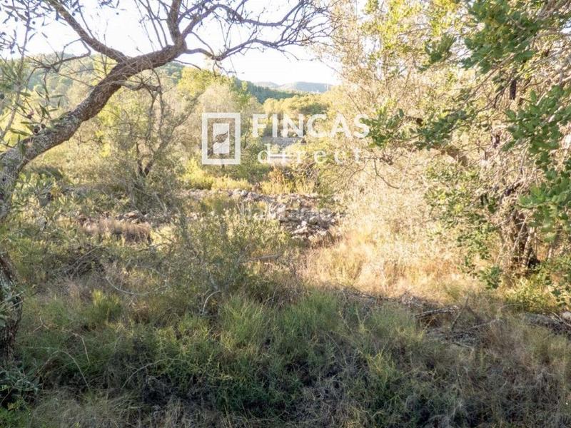 Foto ab55b349-764b-4c7f-bc1c-f91e48ac976a. Finca rústica a Perelló (El)