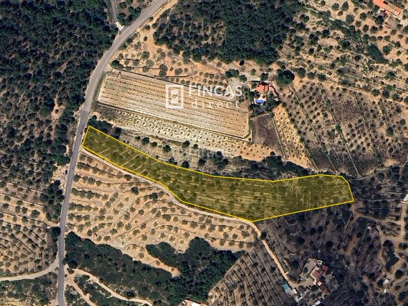 Foto f03a5550-a356-4de4-8e42-6b44c1a06619. Finca rústica a Perelló (El)