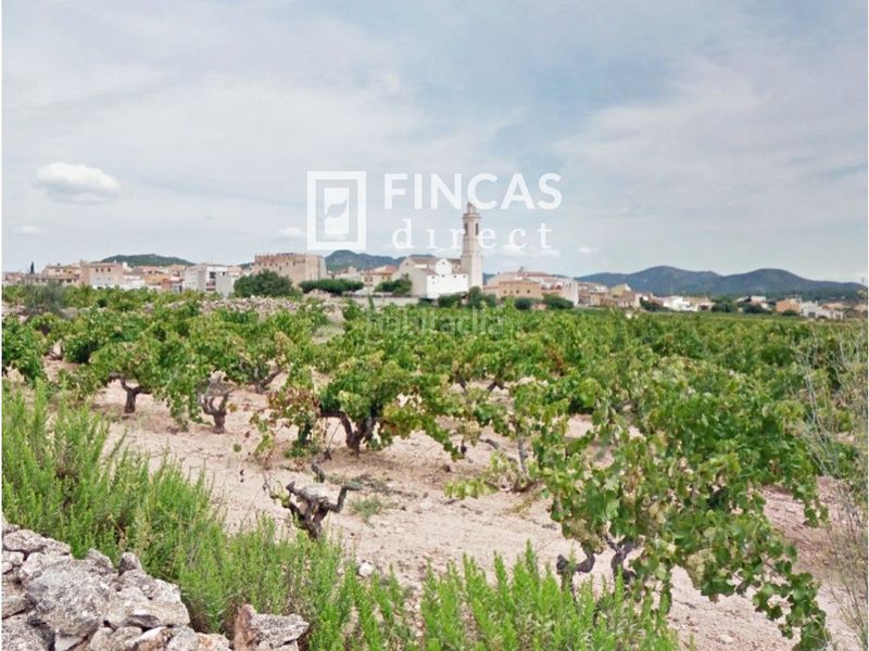 Foto 17103303-820b-4abb-88a2-42247f7b867f. Terreny residencial a Rodonyà