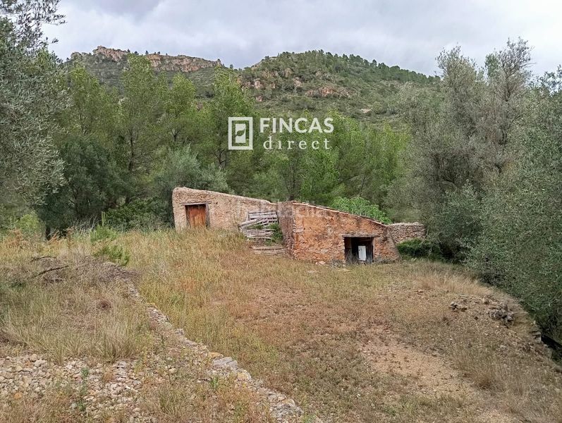Foto 15411633-5bf9-4d9e-bec6-42e81d246237. Masia a Alfara de Carles