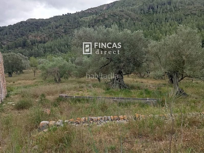 Foto 1b494b9b-fff5-4f47-947a-8b03fd1bc05f. Masia a Alfara de Carles