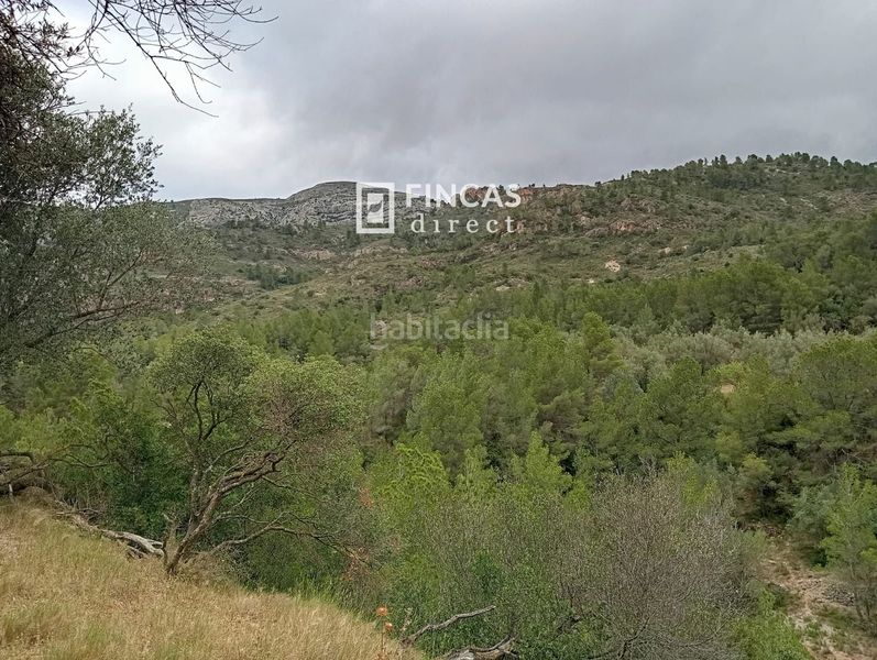 Foto 3d5355ee-9651-4f2e-b29f-465eca6a2dc5. Masia a Alfara de Carles
