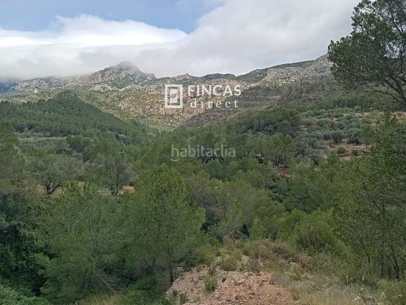 Foto 3ed24817-2403-495a-ad25-06b95811b99f. Masia a Alfara de Carles