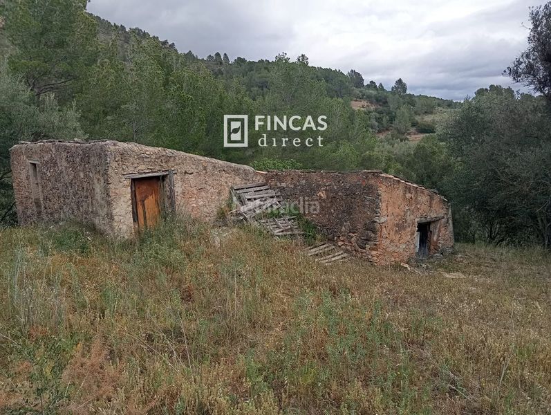 Foto 966e1e9c-d196-4f54-aa8c-85e5ffb1f50e. Masia a Alfara de Carles