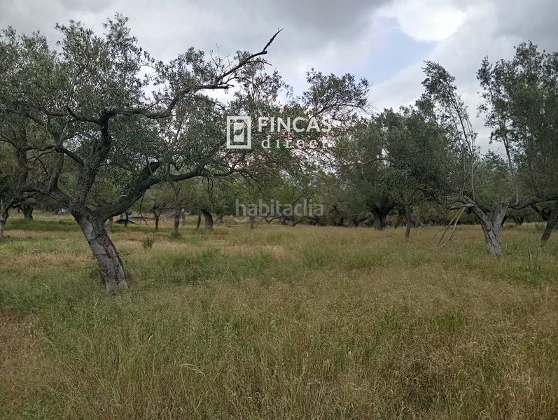 Foto 9c45307d-95f0-4b9b-a587-30d74abb461c. Masia a Alfara de Carles