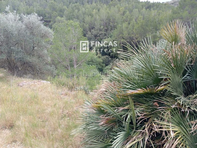 Foto f545ed9c-2812-498b-b3ea-2c43789ff6f3. Masia a Alfara de Carles