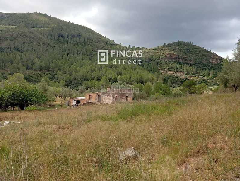 Foto f6b4e9e7-a782-4bf0-9854-75ebed195cdd. Masia a Alfara de Carles