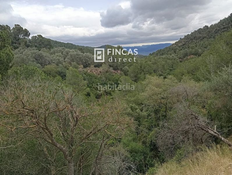 Foto fa13e317-647c-41cf-9966-a834c6643bc4. Masia a Alfara de Carles