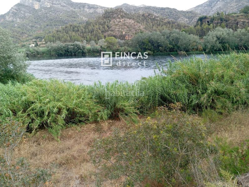 Foto 10e46e35-f395-4019-9b09-91d7518225bf. Masia a Benifallet