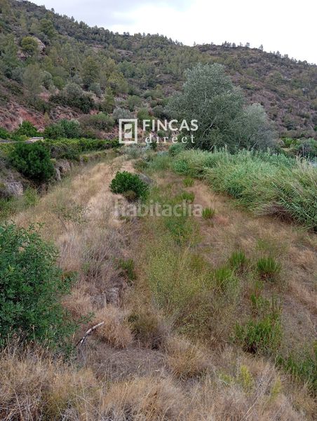 Foto 15f0a5b2-4f3e-4534-b88b-04ca99ec6731. Masia a Benifallet
