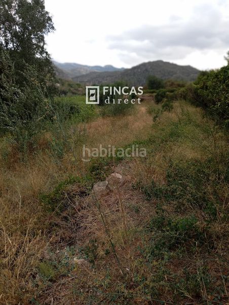 Foto 381127fe-86aa-49f2-aa01-3596329fbcd9. Masia a Benifallet