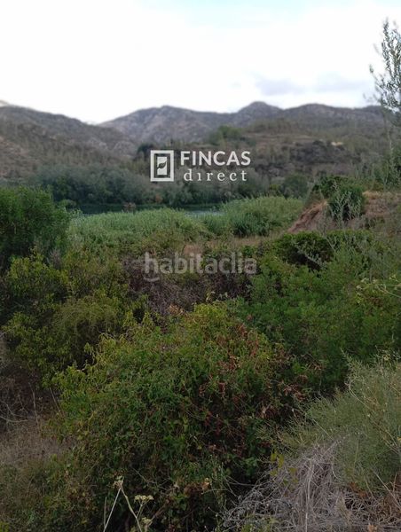 Foto 3ccbbd0b-2181-405e-a227-66c58e4bb6a2. Masia a Benifallet