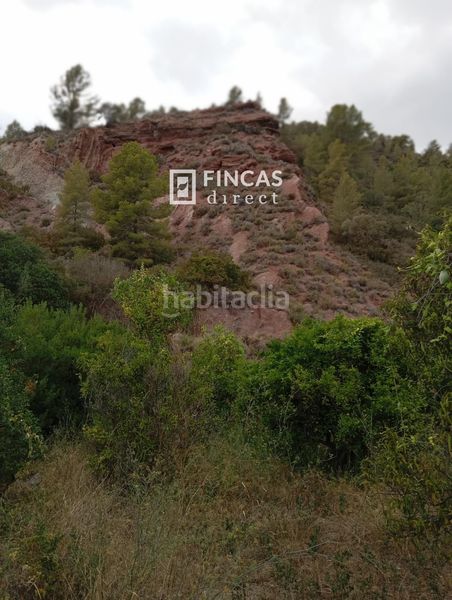 Foto 53b450b9-6e73-4557-a8f6-589f98138c22. Masia a Benifallet