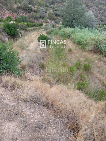 Foto 5d17dc95-0066-43b0-8c61-ab5a9d2dc9ae. Masia a Benifallet