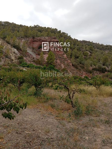 Foto 624df8bd-890b-4068-a034-9ba1744b0694. Masia a Benifallet