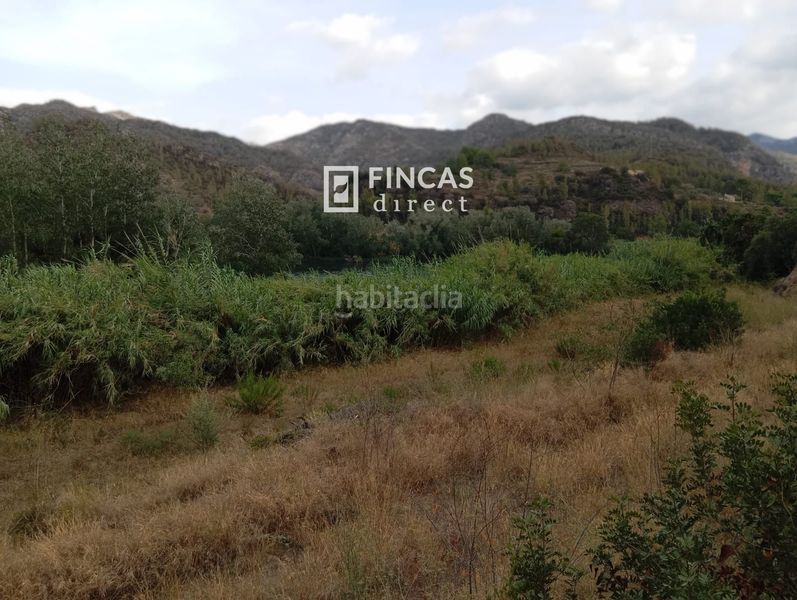Foto 80fe111d-899f-4ebc-8771-0354a96a7ae6. Masia a Benifallet