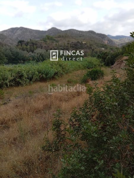 Foto 9a2c69a1-7424-4864-9659-929739f25c11. Masia a Benifallet