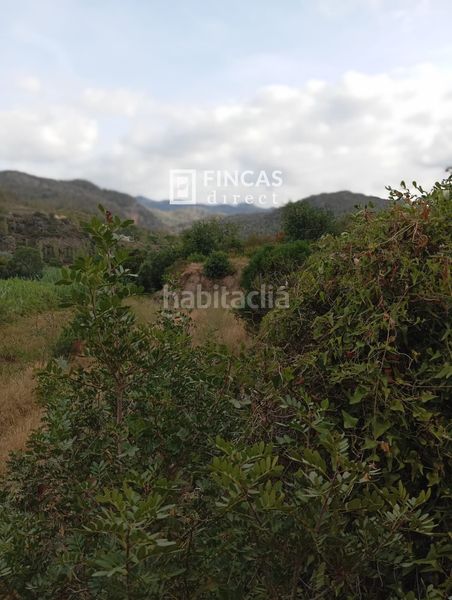 Foto a4b5a17d-5191-4b04-872c-c82e57e3daf7. Masia a Benifallet