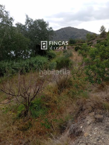 Foto af650212-ba1c-4853-bf00-df1228c27d31. Masia a Benifallet