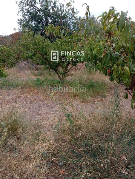 Foto d43b097f-e791-4377-9aeb-a1628215b944. Masia a Benifallet