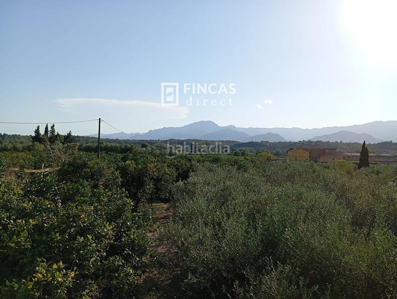 Foto ec9ebc92-72cb-4c2e-b4e8-b5faf3f95cb9. Masía en Bítem Tortosa