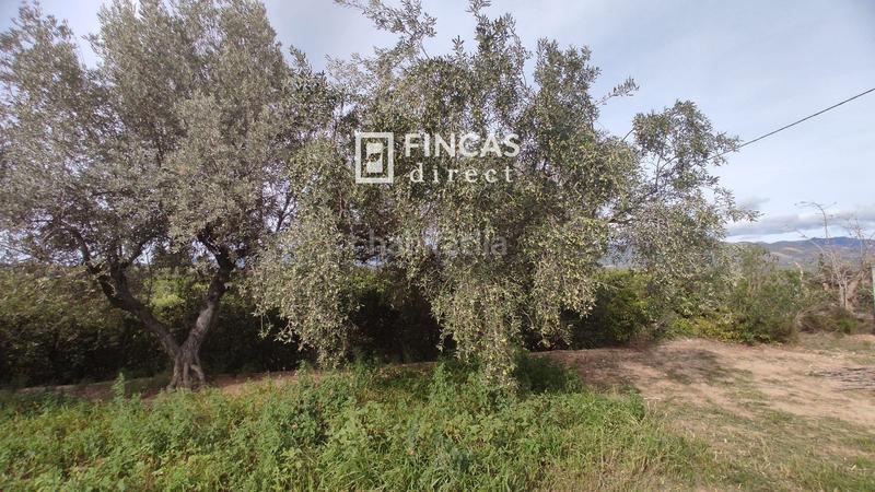 Foto fb09260d-602b-44ab-a6c7-f002ed687c34. Masía en Bítem Tortosa