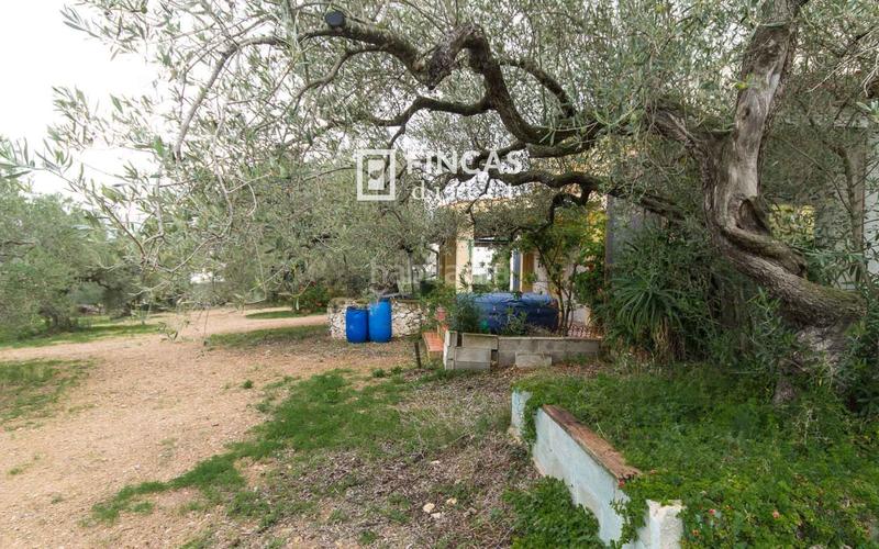 Foto 25426972-2c45-4d4c-a454-06d69e302430. Masia amb aparcament a Perelló (El)