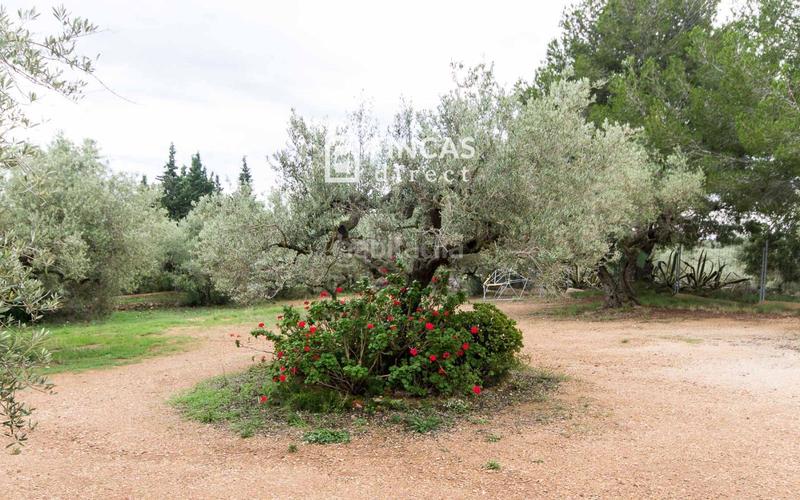 Foto 54dc1fd6-4dd3-444a-ae16-ee05184bdfc3. Masia amb aparcament a Perelló (El)