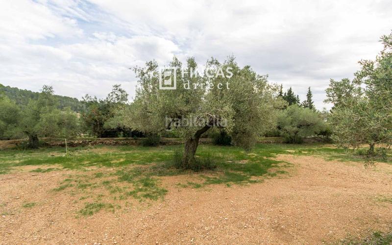 Foto 766b21ac-21d6-4ca1-9d72-521baa204e81. Masia amb aparcament a Perelló (El)