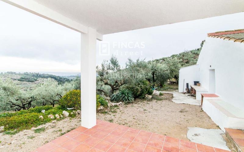 Foto 02d4c8cb-a887-40d6-a234-39fed3bdc9b1. Mas dans Bítem Tortosa