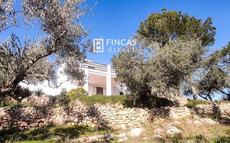 Foto 2b867b13-4617-4d93-8c07-50d9b1fd2d3e. Mas dans Bítem Tortosa