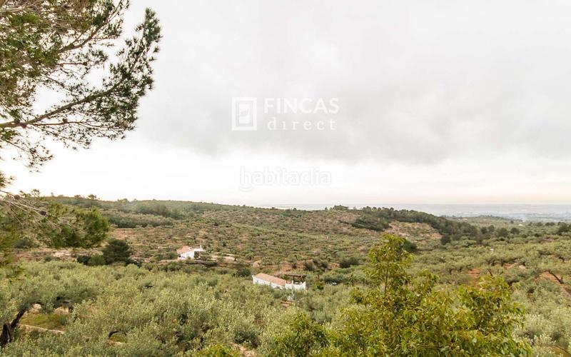 Foto 4589dd30-34f6-4f58-9fad-014417146e63. Mas dans Bítem Tortosa