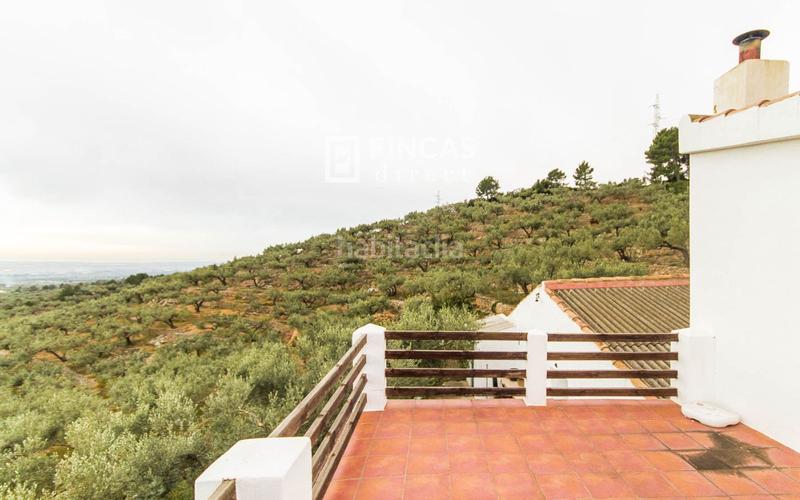 Foto 717b9b34-ce65-466c-9102-9ef86281ce64. Mas dans Bítem Tortosa