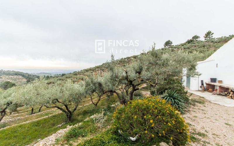 Foto 8be2c568-858b-4981-a740-92f570ee95ba. Mas dans Bítem Tortosa