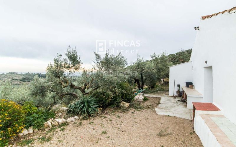 Foto a760a695-f141-4a85-bc9d-fc9ae14f0e75. Mas dans Bítem Tortosa