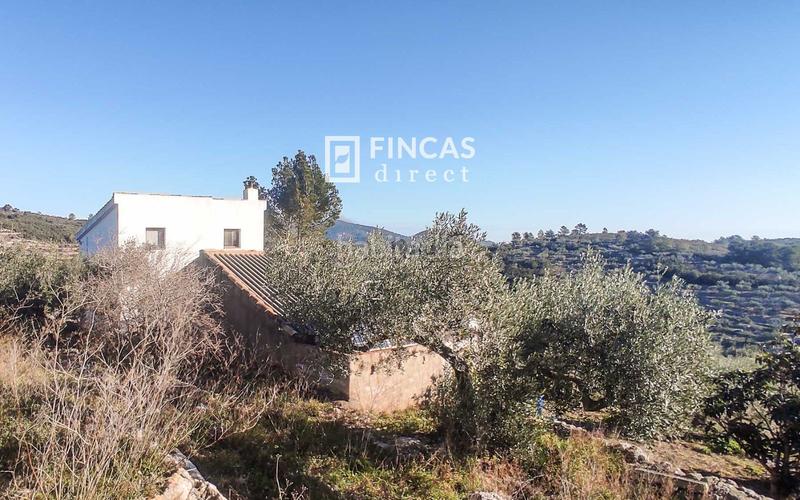 Foto ba660862-593c-4146-898a-20605bbb6b5d. Mas dans Bítem Tortosa