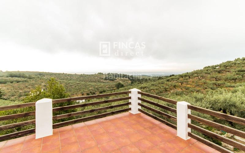 Foto bacb20c2-2be5-411d-a56c-0fd749d2d15e. Mas dans Bítem Tortosa