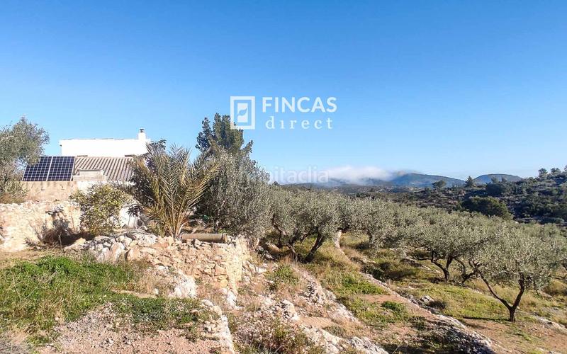 Foto c53ba866-defe-4268-8d7e-fe2eb8b93dfc. Mas dans Bítem Tortosa