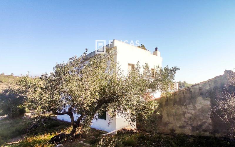 Foto c7e10487-c750-45dc-9dcd-697a159c0775. Mas dans Bítem Tortosa