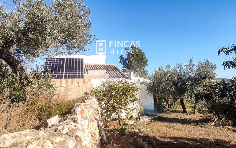 Foto d32fa205-6927-403a-bb0b-f9fe2f5a6cb9. Mas dans Bítem Tortosa