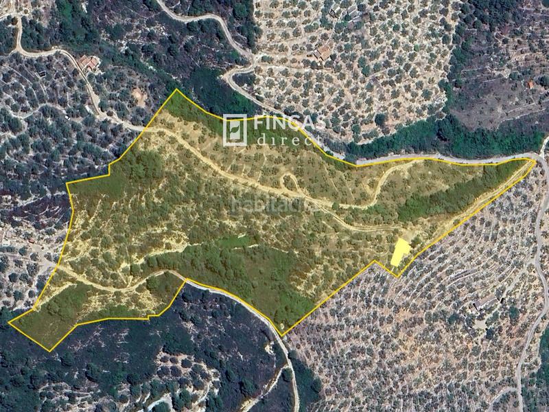 Foto d3b25ad4-ba52-4d71-a7ce-aabe6e70ce74. Mas dans Bítem Tortosa