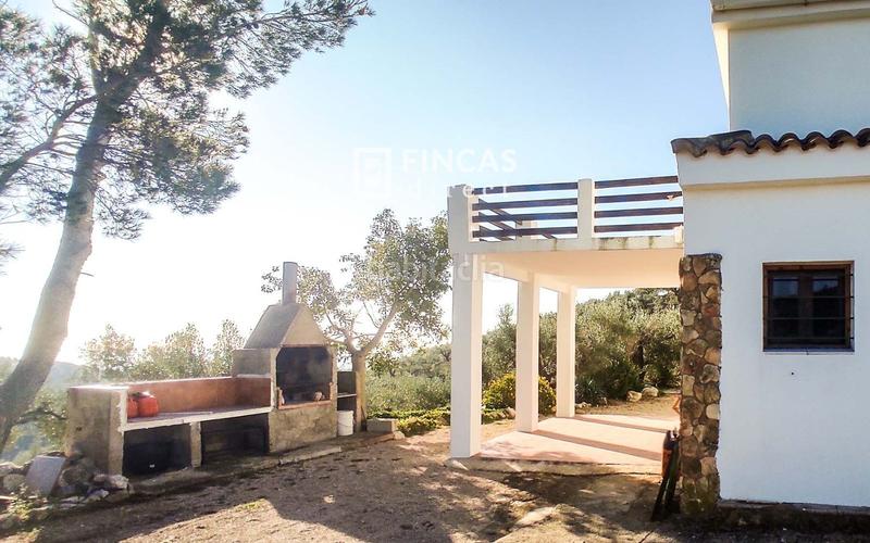 Foto db295aa2-06d7-439a-9aa6-71be1081415a. Mas dans Bítem Tortosa