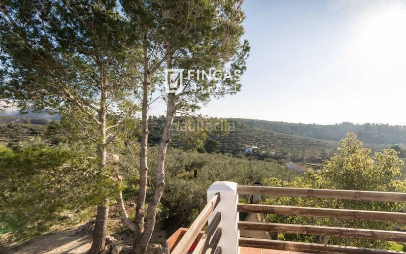 Foto de54a039-f0f2-4312-a193-2b0b34edc313. Mas dans Bítem Tortosa