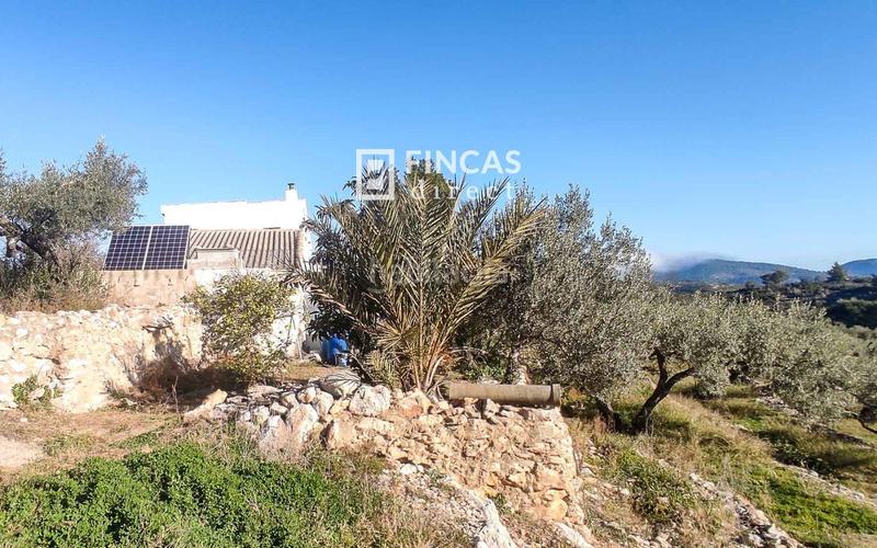 Foto de64d793-5430-4a99-9006-7f44004be55a. Mas dans Bítem Tortosa