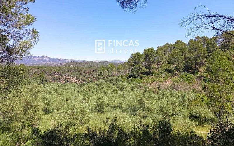 Foto 0b41879f-bca3-4a7b-be70-0466313f5c63. Masia a Benifallet