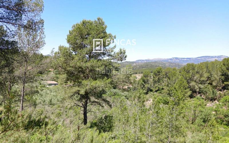 Foto 85b3f58d-aecc-4193-83e4-86e07cc18e86. Masia a Benifallet