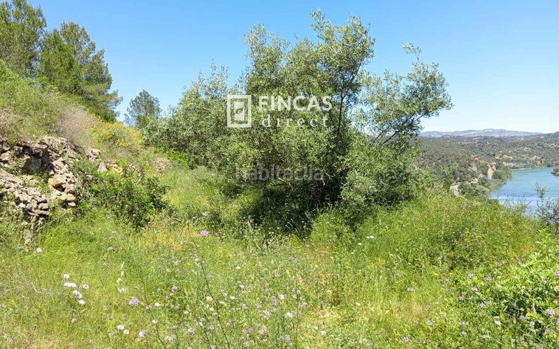 Foto c825f8e0-5a65-48b5-9d71-8c468bf7399e. Masia a Benifallet