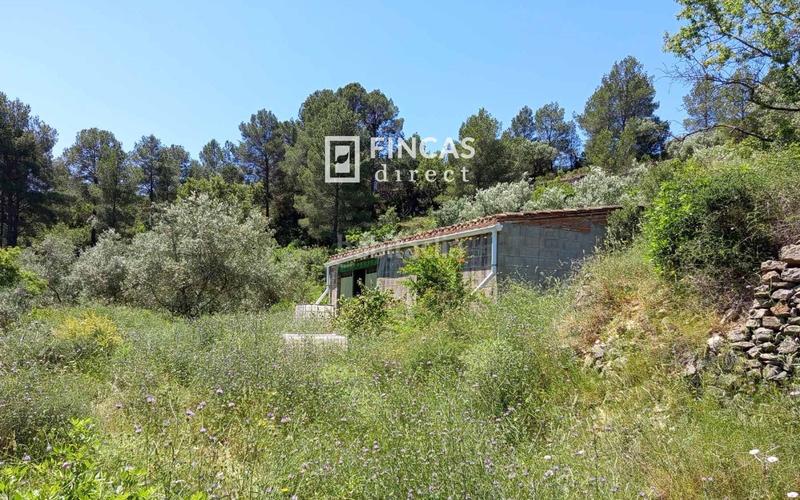 Foto db29b320-1c70-4bef-b922-c5bfc30b367b. Masia a Benifallet